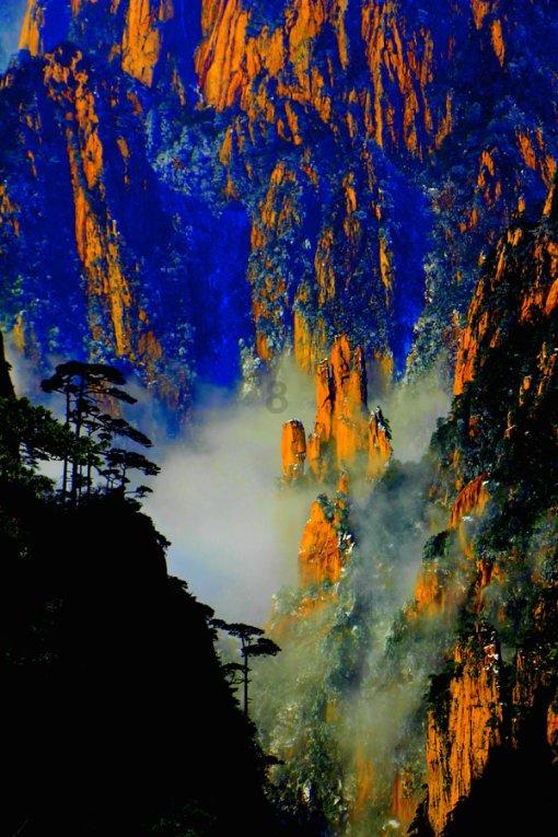 无绳跳绳有用吗?知识星球——专业的知识分享平台